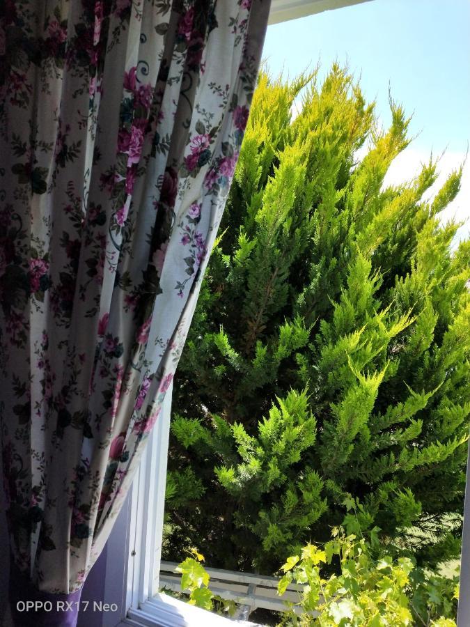 Maviev Otel Çeşme Εξωτερικό φωτογραφία